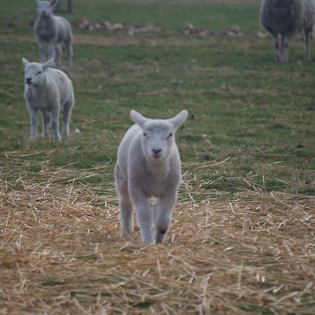 Woodhouse Farm Lodge สปอลดิง ภายนอก รูปภาพ